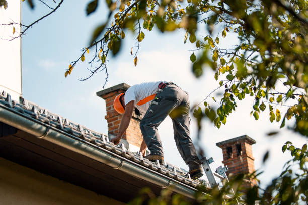 Best Roof Repair Services  in Ansted, WV
