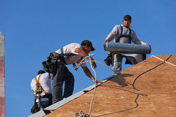 Best Roof Maintenance Services  in Ansted, WV