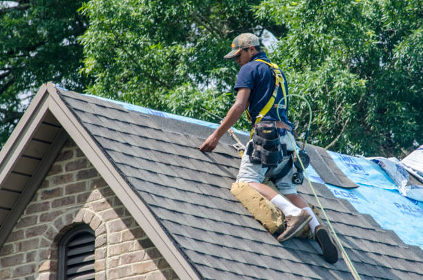 Best Roof Waterproofing Services  in Ansted, WV