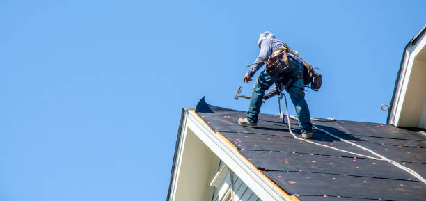 Best Roof Restoration Services  in Ansted, WV